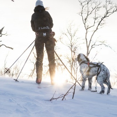 Cinto Non-stop Dogwear Loype Belt