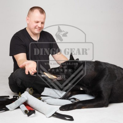 Mordedor de Couro duro 6x15cm DINGO GEAR