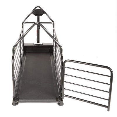 Tapete Rolante DOG RUNNER REVOLUTION PRO