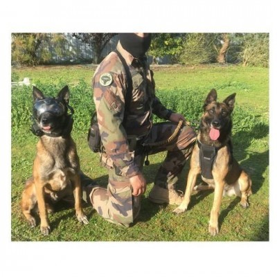 Câmera de bordo K9 VISION SYSTEM PRO