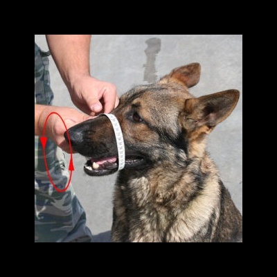 Açaime preto com revestimento de borracha para Malinois DINGO GEAR