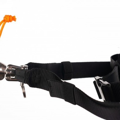 Cinto Non-stop Dogwear Loype Belt