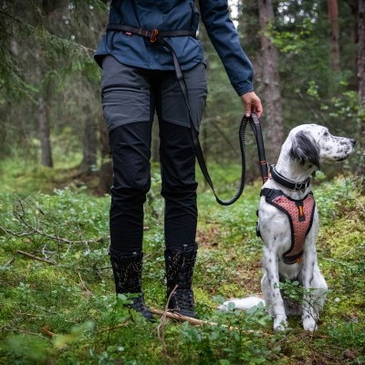 Trela TOURING BUNGEE ADJUSTABLE da NON-STOP Dogwear