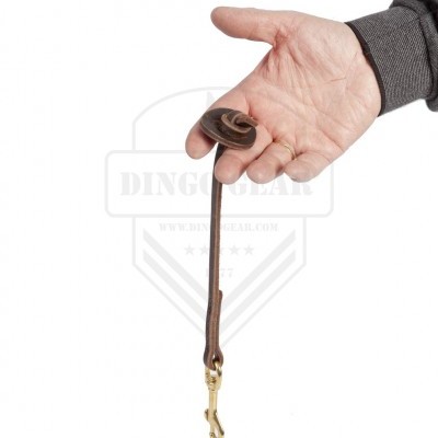 Trela ​​Simples de Couro com Anel DINGO GEAR