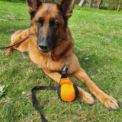 Bola com pega comprida