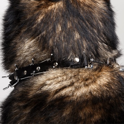 Coleira Ajustavél com Bicos Ocultos