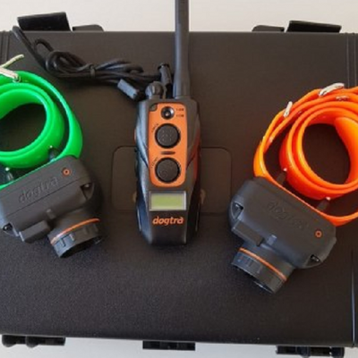 Dogtra 2602 T&B(Beeper)