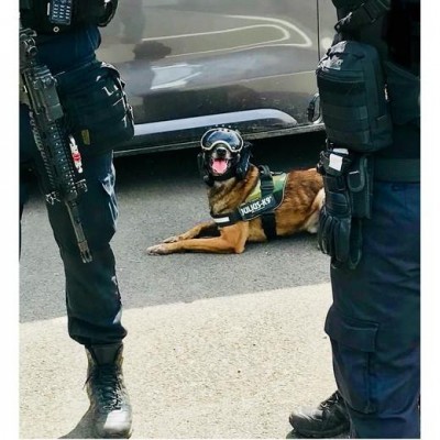 Câmera de bordo K9 VISION SYSTEM