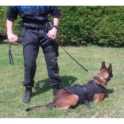Arnês à prova de balas para cães com sistema MOLLE MORIN