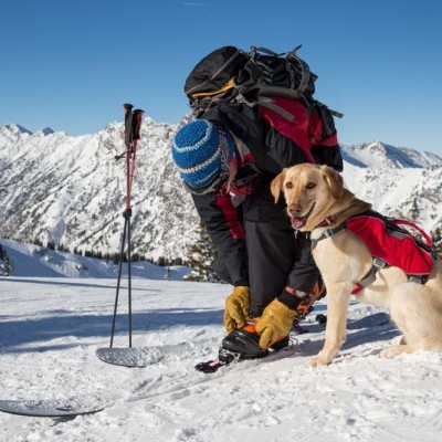 Arnês WEB MASTER PRO