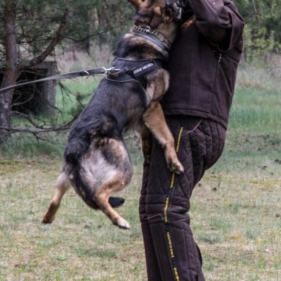 Máscara protectora  leve DINGO GEAR