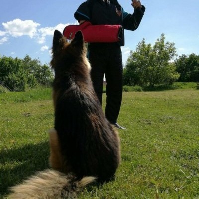 Fato de IGP/IPO DINGO GEAR