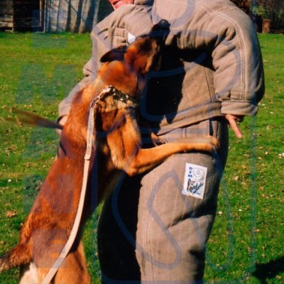 Fatos de mordida DEMANET