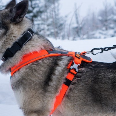 Arnês Non-stop Dogwear LINE