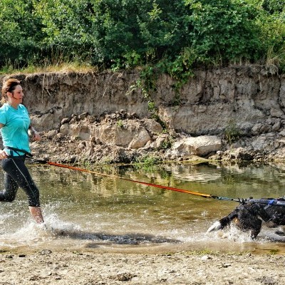 Trela BUNGEE da NON-STOP Dogwear