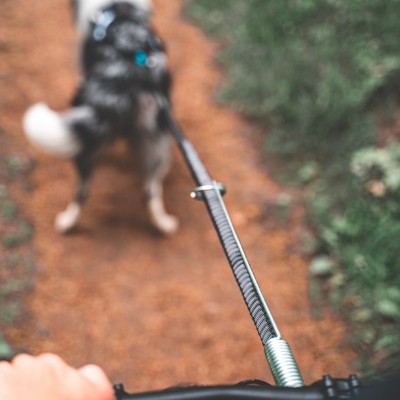 Barra de tração Flexivel da NON-STOP Dogwear
