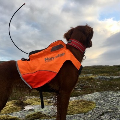 Colete PROTECTOR GPS da NON-STOP Dogwear