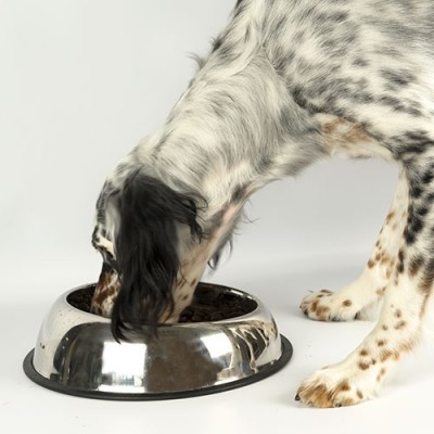 Comedor em Aço Inoxidavel Eat Easy