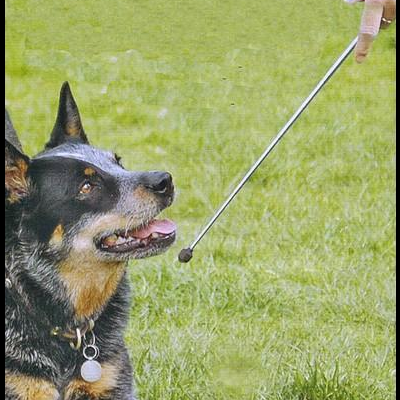 Bastão de treino Telescópico