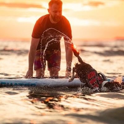 Colete salva vida NON-STOP Dogwear