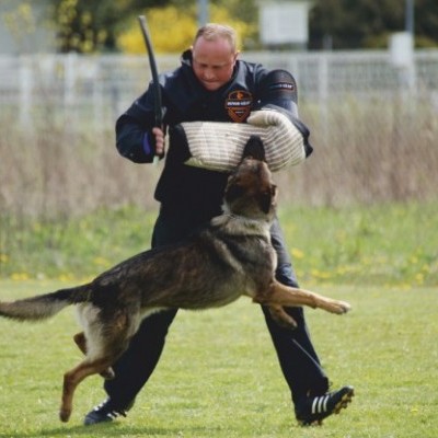 Capa de juta dura com alça DINGO GEAR