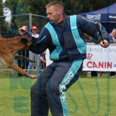 Fatos de mordida DEMANET