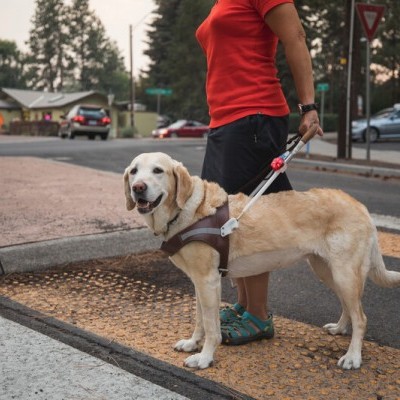 Luz de segurança AUDIBLE BEACON