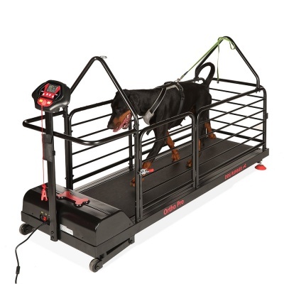 Tapete Rolante DOG RUNNER ORTHO PRO