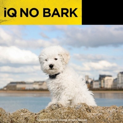 iQ No Bark- Preto