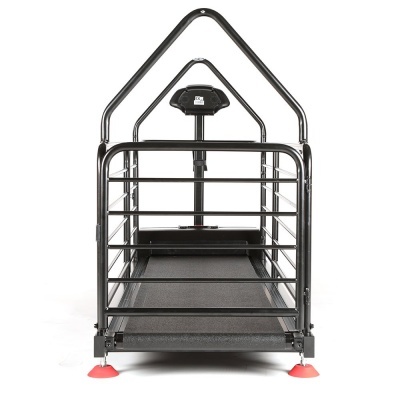 Tapete Rolante DOG RUNNER ORTHO PRO