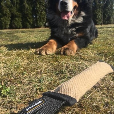 Churros de mordida em Jute DINGO GEAR