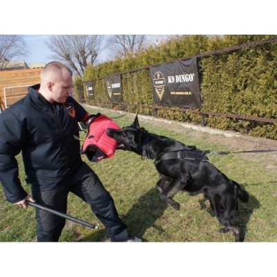 Manga Curta JACK DINGO GEAR