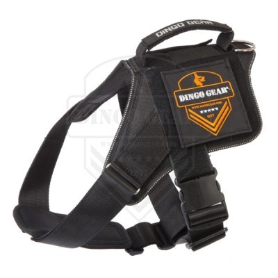 Arnês Marking DINGO GEAR