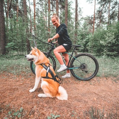 Barra de tração Flexivel da NON-STOP Dogwear