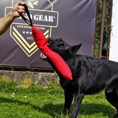 Mordedor de material francês com uma pega DINGO GEAR