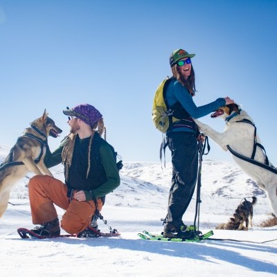 Arnês Non-stop Dogwear Nansen Nome 5.0