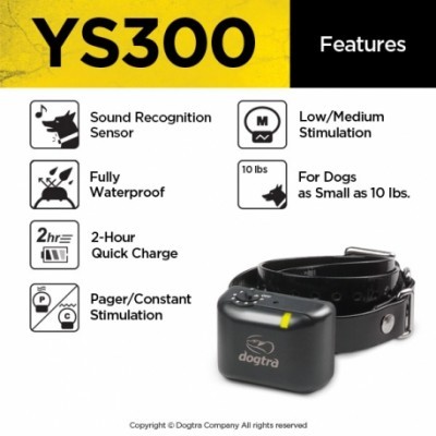 YS 300