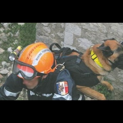 Arnês de Heli-Transporte PRO para cães MORIN