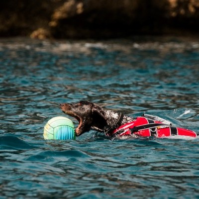 Colete salva vida NON-STOP Dogwear