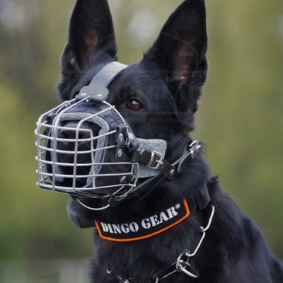 Açaime para treino de cão DINGO GEAR