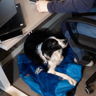 Saco de cama NON-STOP Dogwear LY Spleeping Bag