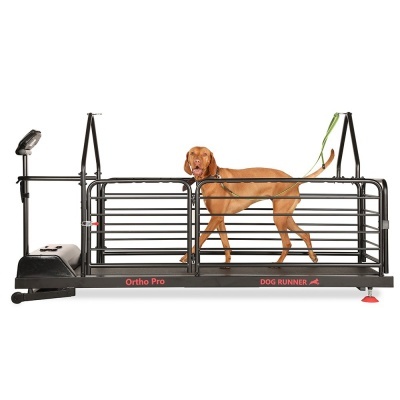 Tapete Rolante DOG RUNNER ORTHO PRO