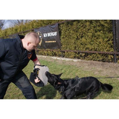 Manga  de Treino Curta FRED DINGO GEAR