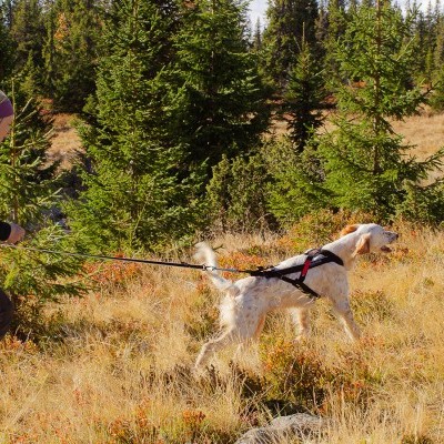 Bolsa para Cinto Non-stop Dogwear Ferd Belt