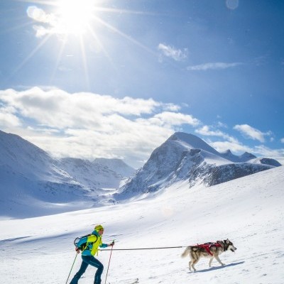 Arnês Non-stop Dogwear COMBINED