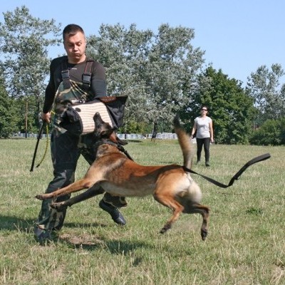 Manga de Treino BARRY em Jute DINGO GEAR