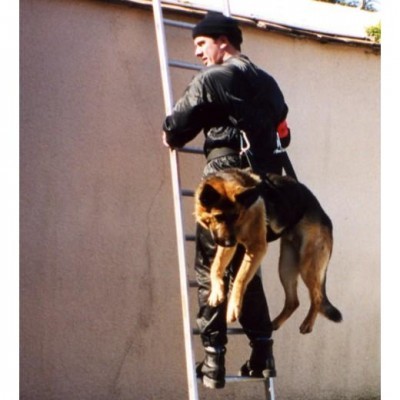 Arnês de transporte de intervenção para cães MORIN