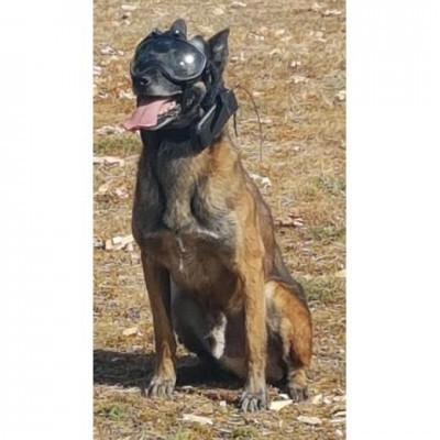 Câmera de bordo K9 VISION SYSTEM