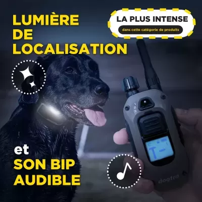Dogtra 1200X 1 Cão (1900X) Versão UE