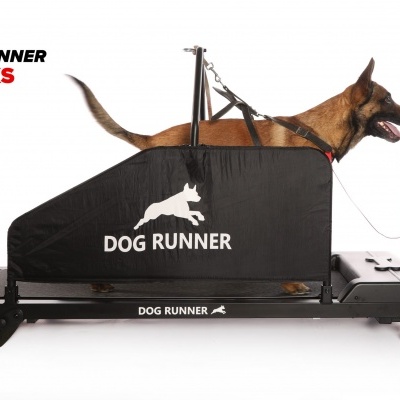 Tapete Rolante DOG RUNNER TRACKS